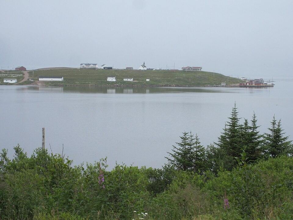 Labrador