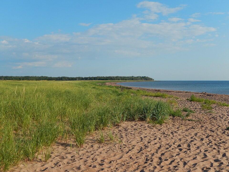 Northumberland Shore