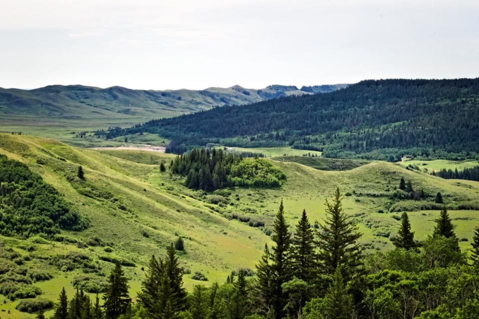 Cypress Hills